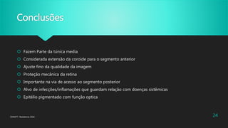 Conclusões
 Fazem Parte da túnica media
 Considerada extensão da coroide para o segmento anterior
 Ajuste fino da qualidade da imagem
 Proteção mecânica da retina
 Importante na via de acesso ao segmento posterior
 Alvo de infecções/inflamações que guardam relação com doenças sistêmicas
 Epitélio pigmentado com função optica
CENOFT- Residencia 2016 24
 