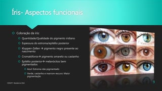 Íris- Aspectos funcionais
 Coloração da íris:
 Quantidade/Qualidade do pigmento iridiano
 Espessura do estroma/epitélio posterior
 Kluppen-Zellen  pigmento negro presente ao
nascimento
 Cromatóforos pigmento amarelo ou castanho
 Epitélio posterior melanócitos bem
pigmentados
 Azul: Estroma não pigmentado
 Verde, castanho e marrom-escuro: Maior
pigmentação
CENOFT- Residencia 2016 9
 