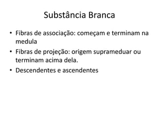 Substância Branca
• Fibras de associação: começam e terminam na
medula
• Fibras de projeção: origem suprameduar ou
terminam acima dela.
• Descendentes e ascendentes
 