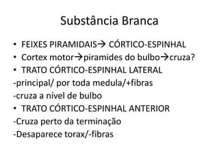 Substância Branca
• FEIXES PIRAMIDAIS CÓRTICO-ESPINHAL
• Cortex motorpiramides do bulbocruza?
• TRATO CÓRTICO-ESPINHAL LATERAL
-principal/ por toda medula/+fibras
-cruza a nível de bulbo
• TRATO CÓRTICO-ESPINHAL ANTERIOR
-Cruza perto da terminação
-Desaparece torax/-fibras
 