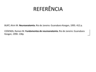 REFERÊNCIA
COSENZA, Ramon M. Fundamentos de neuroanatomia. Rio de Janeiro: Guanabara
Koogan, 1990. 138p
BURT, Alvin M. Neuroanatomia. Rio de Janeiro: Guanabara Koogan, 1995. 412 p.
 