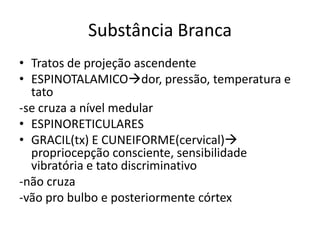 Substância Branca
• Tratos de projeção ascendente
• ESPINOTALAMICOdor, pressão, temperatura e
tato
-se cruza a nível medular
• ESPINORETICULARES
• GRACIL(tx) E CUNEIFORME(cervical)
propriocepção consciente, sensibilidade
vibratória e tato discriminativo
-não cruza
-vão pro bulbo e posteriormente córtex
 