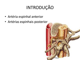 INTRODUÇÃO
• Artéria espinhal anterior
• Artérias espinhais posterior
 