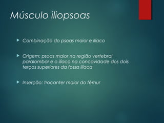 Músculo iliopsoas
 Combinação do psoas maior e ilíaco
 Origem: psoas maior na região vertebral
paralombar e o ilíaco na concavidade dos dois
terços superiores da fossa ilíaca
 Inserção: trocanter maior do fêmur
 