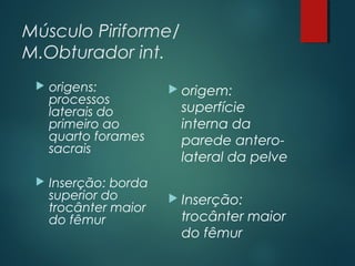 Músculo Piriforme/
M.Obturador int.
 origens:
processos
laterais do
primeiro ao
quarto forames
sacrais
 Inserção: borda
superior do
trocânter maior
do fêmur
 origem:
superfície
interna da
parede antero-
lateral da pelve
 Inserção:
trocânter maior
do fêmur
 