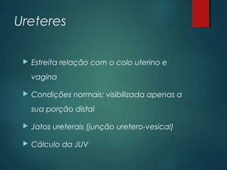 Ureteres
 Estreita relação com o colo uterino e
vagina
 Condições normais: visibilizada apenas a
sua porção distal
 Jatos ureterais (junção uretero-vesical)
 Cálculo da JUV
 