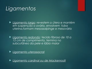 Ligamentos
 Ligamento largo: revestem o útero e mantém
em suspenção o ovário, envolvem tuba
uterina,formam mesossalpinge e mesovário
 Ligamento redondo: tecido fibroso de 10 a
15 cm de comprimento, termina no
subcutâneo da pele e lábio maior
 Ligamento uterossacral
 Ligamento cardinal ou de Mackenrodt
 
