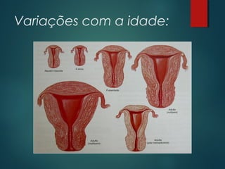 Variações com a idade:
 