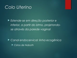 Colo Uterino
 Estende-se em direção posterior e
inferior, a partir do istmo, projetando-
se através da parede vaginal
 Canal endocervical: linha ecogênica
 Cistos de Naboth
 