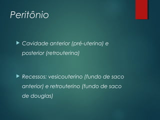 Peritônio
 Cavidade anterior (pré-uterina) e
posterior (retrouterina)
 Recessos: vesicouterino (fundo de saco
anterior) e retrouterino (fundo de saco
de douglas)
 