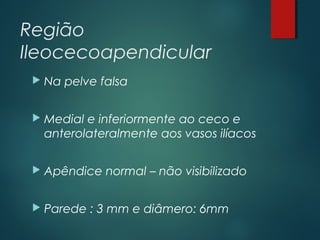 Região
Ileocecoapendicular
 Na pelve falsa
 Medial e inferiormente ao ceco e
anterolateralmente aos vasos ilíacos
 Apêndice normal – não visibilizado
 Parede : 3 mm e diâmero: 6mm
 