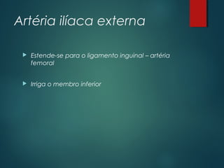 Artéria ilíaca externa
 Estende-se para o ligamento inguinal – artéria
femoral
 Irriga o membro inferior
 