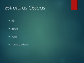 Estruturas Ósseas
 Ílio
 Ísquio
 Pubis
 Sacro e cóccix
 