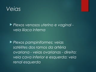 Veias
 Plexos venosos uterino e vaginal -
veia ilíaca interna
 Plexos pampiniformes: veias
satélites dos ramos da artéria
ovariana - veias ovarianas - direita:
veia cava inferior e esquerda: veia
renal esquerda
 