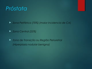 Próstata
 Zona Periférica (70%) (maior incidencia de CA)
 Zona Central (25%)
 Zona de Transição ou Região Periuretral
(Hiperplasia nodular benigna)
 