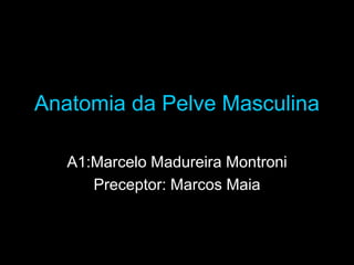 Anatomia da Pelve Masculina
A1:Marcelo Madureira Montroni
Preceptor: Marcos Maia
 