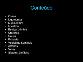 Conteúdo
• Ossos
• Ligamentos
• Musculatura
• Intestino
• Bexiga Urinária
• Ureteres
• Uretra
• Próstata
• Vesículas Seminais
• Artérias
• Veias
• Sistema Linfático