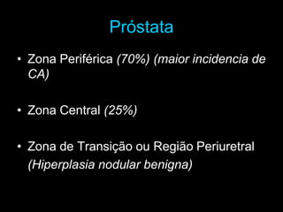 Próstata
• Zona Periférica (70%) (maior incidencia de
CA)
• Zona Central (25%)
• Zona de Transição ou Região Periuretral
(Hiperplasia nodular benigna)
