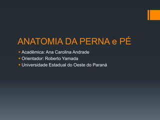 ANATOMIA DA PERNA e PÉ
 Acadêmica: Ana Carolina Andrade
 Orientador: Roberto Yamada
 Universidade Estadual do Oeste do Paraná

 