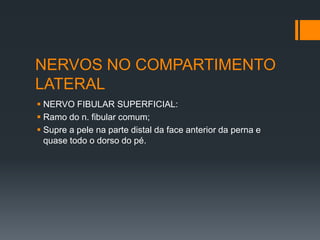 NERVOS NO COMPARTIMENTO
LATERAL
 NERVO FIBULAR SUPERFICIAL:
 Ramo do n. fibular comum;
 Supre a pele na parte distal da face anterior da perna e
quase todo o dorso do pé.

 