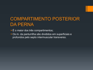 COMPARTIMENTO POSTERIOR
DA PERNA
 É o maior dos três compartimentos;
 Os m. da panturrilha são divididos em superficiais e
profundos pelo septo intermuscular transverso.

 
