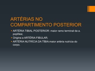 ARTÉRIAS NO
COMPARTIMENTO POSTERIOR
 ARTÉRIA TIBIAL POSTERIOR: maior ramo terminal da a.
poplítea;
 Origina a ARTÉRIA FIBULAR;
 ARTÉRIA NUTRÍCIA DA TÍBIA:maior artéria nutrícia do
corpo.

 
