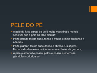 PELE DO PÉ
 A pele da face dorsal do pé é muito mais fina e menos
sensível que a pele da face plantar;
 Parte dorsal: tecido subcutâneo é frouxo e mais propenso a
edemas;
 Parte plantar: tecido subcutâneo é fibroso. Os septos
fibrosos dividem esse tecido em áreas cheias de gordura;
 A pele plantar não possui pelos e possui numerosas
glândulas sudoríparas.

 