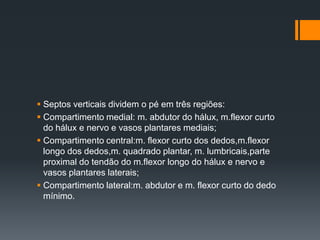  Septos verticais dividem o pé em três regiões:
 Compartimento medial: m. abdutor do hálux, m.flexor curto
do hálux e nervo e vasos plantares mediais;
 Compartimento central:m. flexor curto dos dedos,m.flexor
longo dos dedos,m. quadrado plantar, m. lumbricais,parte
proximal do tendão do m.flexor longo do hálux e nervo e
vasos plantares laterais;
 Compartimento lateral:m. abdutor e m. flexor curto do dedo
mínimo.

 