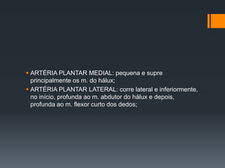 ARTÉRIA PLANTAR MEDIAL: pequena e supre
principalmente os m. do hálux;
 ARTÉRIA PLANTAR LATERAL: corre lateral e inferiormente,
no início, profunda ao m. abdutor do hálux e depois,
profunda ao m. flexor curto dos dedos;

 