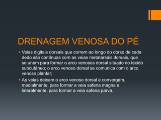 DRENAGEM VENOSA DO PÉ
 Veias digitais dorsais que correm ao longo do dorso de cada
dedo são contínuas com as veias metatarsais dorsais, que
se unem para formar o arco venosos dorsal situado no tecido
subcutâneo; o arco venoso dorsal se comunica com o arco
venoso plantar;
 As veias deixam o arco venoso dorsal e convergem,
medialmente, para formar a veia safena magna e,
lateralmente, para formar a veia safena parva.

 