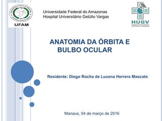 ANATOMIA DA ÓRBITA E
BULBO OCULAR
Residente: Diego Rocha de Lucena Herrera Mascato
Manaus, 04 de março de 2016
Universidade Federal do Amazonas
Hospital Universitário Getúlio Vargas
 