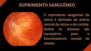 SUPRIMENTO SANGUÍNEO
O suprimento sanguíneo da
retina é derivado da artéria
central da retina e da coróide.
Ambos os sistemas são
necessários para o
funcionamento normal da
mesma.
 