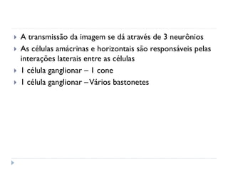    A transmissão da imagem se dá através de 3 neurônios
   As células amácrinas e horizontais são responsáveis pelas
    interações laterais entre as células
   1 célula ganglionar – 1 cone
   1 célula ganglionar – Vários bastonetes
 