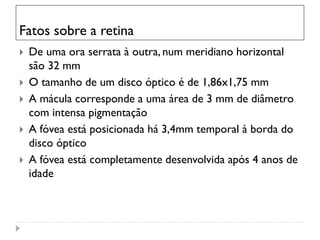 Fatos sobre a retina
   De uma ora serrata à outra, num meridiano horizontal
    são 32 mm
   O tamanho de um disco óptico é de 1,86x1,75 mm
   A mácula corresponde a uma área de 3 mm de diâmetro
    com intensa pigmentação
   A fóvea está posicionada há 3,4mm temporal à borda do
    disco óptico
   A fóvea está completamente desenvolvida após 4 anos de
    idade
 