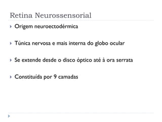 Retina Neurossensorial
   Origem neuroectodérmica

   Túnica nervosa e mais interna do globo ocular

   Se extende desde o disco óptico até à ora serrata

   Constituída por 9 camadas
 