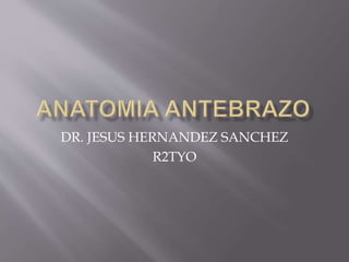 DR. JESUS HERNANDEZ SANCHEZ 
R2TYO 
 