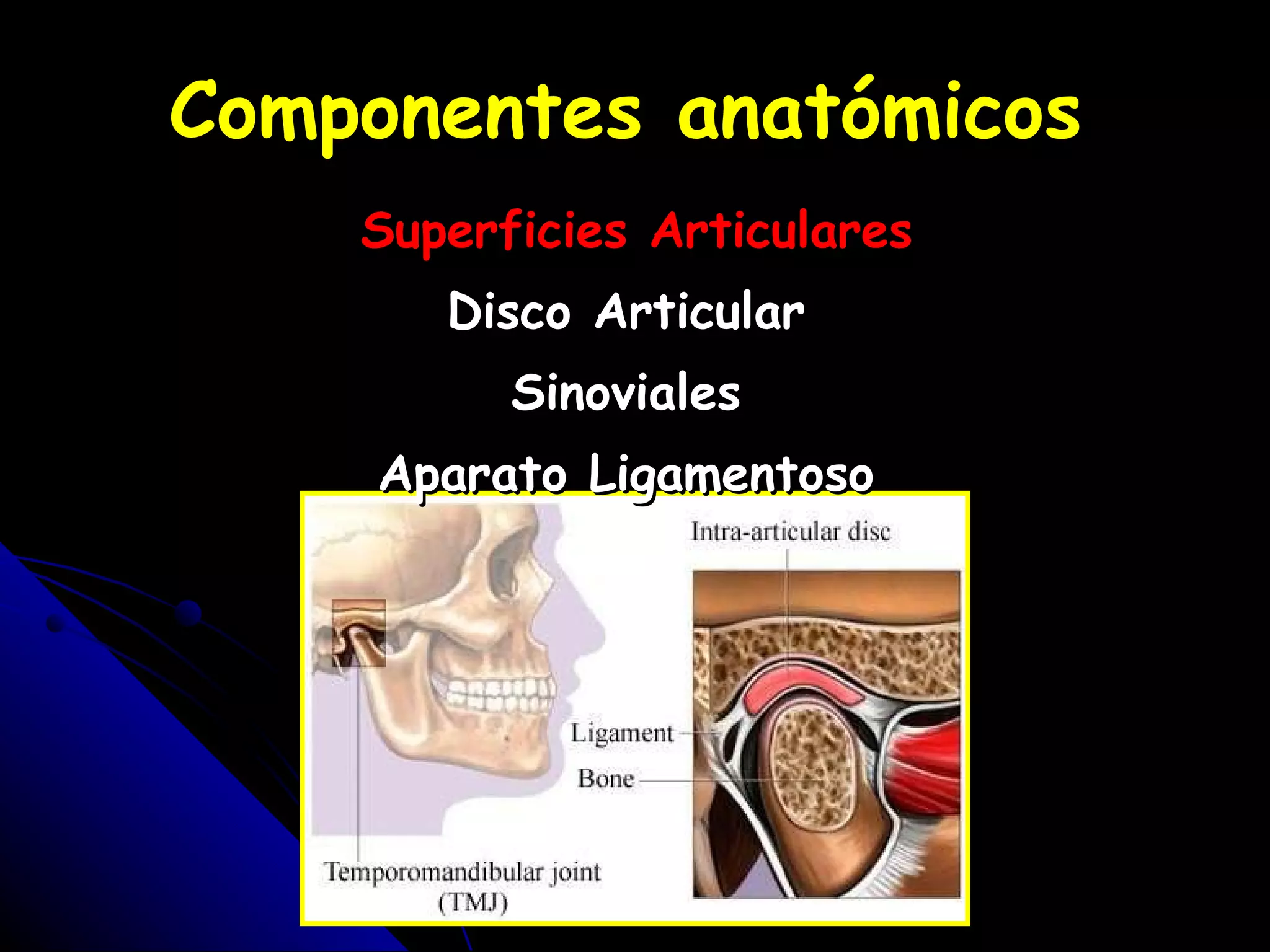 Anatomia de atm | PPT | Bone and Joint Conditions | Diseases and Conditions
