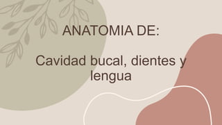ANATOMIA DE:
Cavidad bucal, dientes y
lengua
 