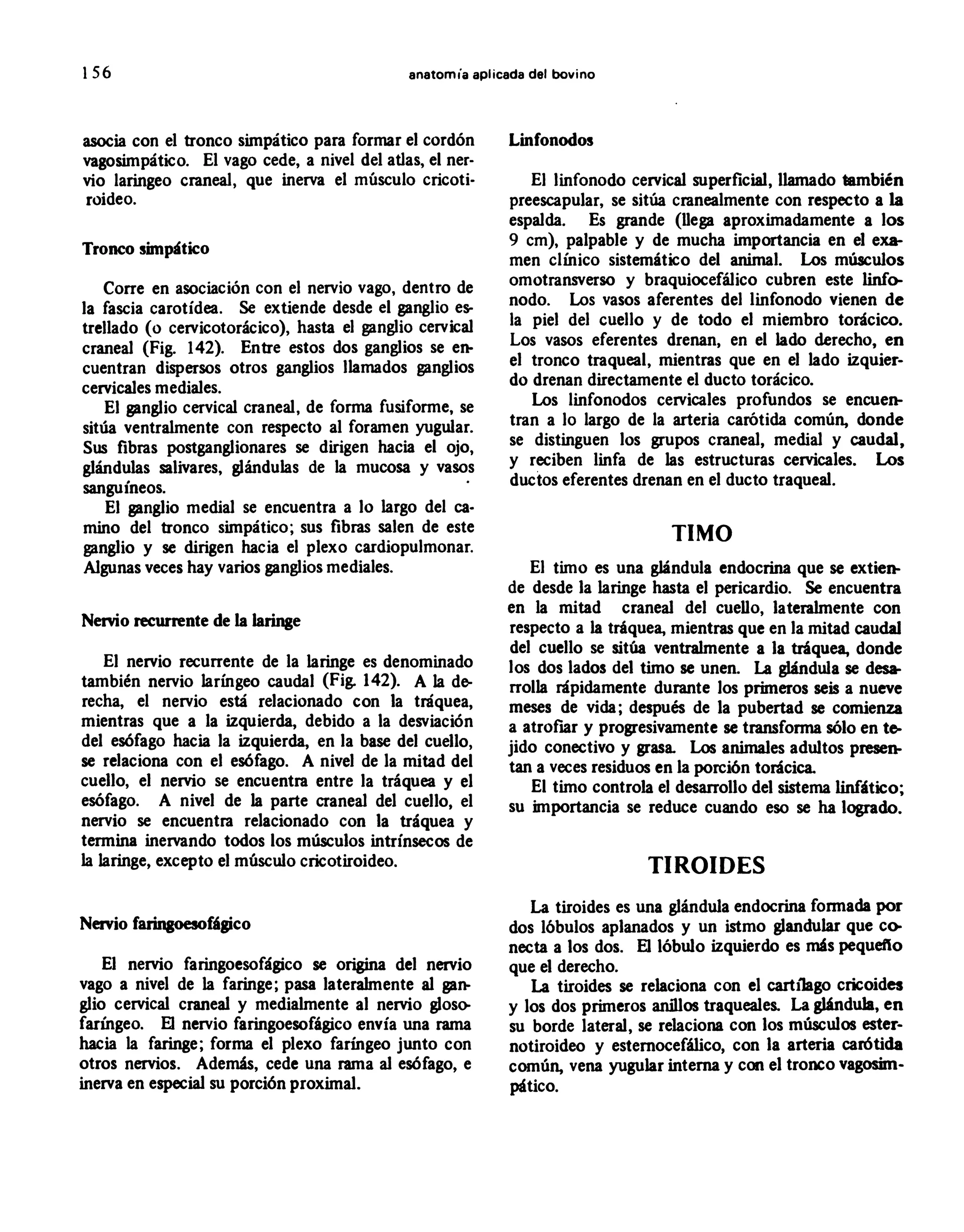 anatomia de bovinos.PDF