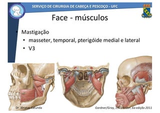 • Mastigação
• masseter,	temporal,	pterigóide	medial	e	lateral
• V3
11
Face	- músculos
Netter,	6a	edição	2011Gardner/Gray,	1971Dr.	Jônatas	Catunda
 