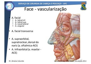 Face	- vascularização
• A.	facial
• A.	labial	inf.
• A.	labial	sup.
• A.	nasal	lateral
• A.	angular
• A.	facial	transversa	
• A.	supraorbital,	
supratroclear,	dorsal	do	
nariz	(a.	oftalmica-ACI)
• A.	infraorbital	(a.	maxilar	-
ACE)
12
Netter,	6a	edição	2011Gardner/Gray,	1971Dr.	Jônatas	Catunda
 