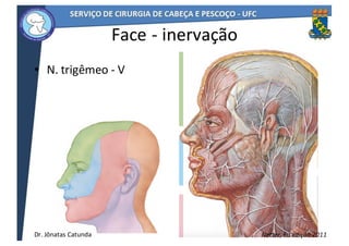 Face	- inervação
• N.	trigêmeo	- V
14
Netter,	6a	edição	2011Dr.	Jônatas	Catunda
 
