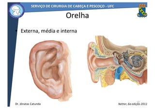 Orelha
• Externa,	média	e	interna
15
Netter,	6a	edição	2011Dr.	Jônatas	Catunda
 