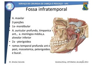 Fossa	infratemporal
• A.	maxilar
• 3	porções	
• 1a- mandibular
• A.	auricular	profunda,	timpanica	
ant.,		a.	meníngea	média,a.	
alveolar	inferior
• 2a	- pterigoidea
• ramos	temporal	profunda	ant	e	
post,	masseterica,	peterigoideo	
e	bucal.
20
Netter,	6a	edição	2011Gardner/Gray,	1971Dr.	Jônatas	Catunda
 