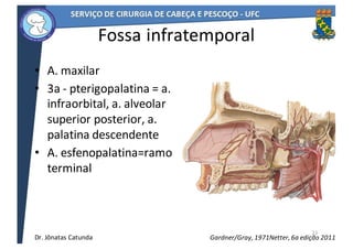 Fossa	infratemporal
• A.	maxilar
• 3a	- pterigopalatina	=	a.	
infraorbital,	a.	alveolar	
superior	posterior,	a.	
palatina	descendente
• A.	esfenopalatina=ramo	
terminal
21
Netter,	6a	edição	2011Gardner/Gray,	1971Dr.	Jônatas	Catunda
 
