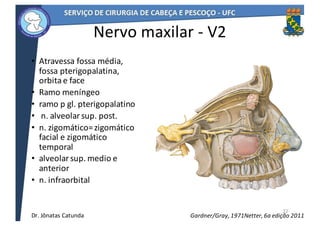 Nervo	maxilar	- V2
• Atravessa	fossa	média,	
fossa	pterigopalatina,	
orbita	e	face
• Ramo	meníngeo
• ramo	p	gl.	pterigopalatino
• n.	alveolar	sup.	post.
• n.	zigomático=	zigomático	
facial	e	zigomático	
temporal
• alveolar	sup.	medio	e	
anterior
• n.	infraorbital
22
Netter,	6a	edição	2011Gardner/Gray,	1971Dr.	Jônatas	Catunda
 