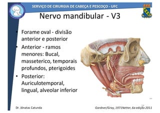 Nervo	mandibular	- V3
• Forame	oval	- divisão	
anterior	e	posterior
• Anterior	- ramos	
menores:	Bucal,	
masseterico,	temporais	
profundos,	pterigoides
• Posterior:	
Auriculotemporal,	
lingual,	alveolar	inferior
24
Netter,	6a	edição	2011Gardner/Gray,	1971Dr.	Jônatas	Catunda
 
