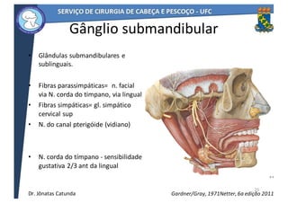 Gânglio	submandibular
• Glândulas	submandibulares	e	
sublinguais.
• Fibras	parassimpáticas=	 	n.	facial	
via	N.	corda	do	timpano,	via	lingual
• Fibras	simpáticas=	gl.	simpático	
cervical	sup
• N.	do	canal	pterigóide	(vidiano)
• N.	corda	do	tímpano	- sensibilidade	
gustativa	2/3	ant	da	lingual	
25
Netter,	6a	edição	2011Gardner/Gray,	1971Dr.	Jônatas	Catunda
 