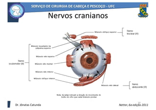 30
Netter,	6a	edição	2011
Nervos	cranianos
Dr.	Jônatas	Catunda
 