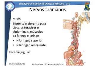 Nervos	cranianos
• Misto	
• Eferente	e	aferente	para	
vísceras	torácicas	e	
abdominais,	músculos	
da	faringe	e	laringe	
• N	laringeo	superior
• N	laringeo	recorrente
Forame	jugular	
33
Netter,	6a	edição	2011Gardner/Gray,	1971Dr.	Jônatas	Catunda
 